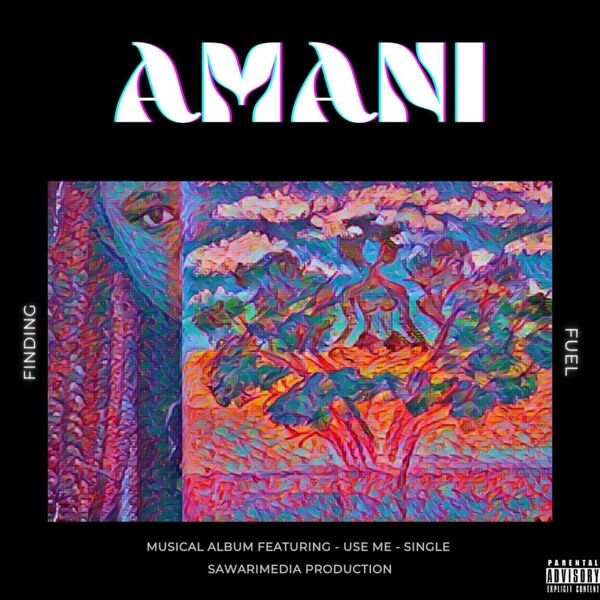 Cover art for Amani Finding Fuel